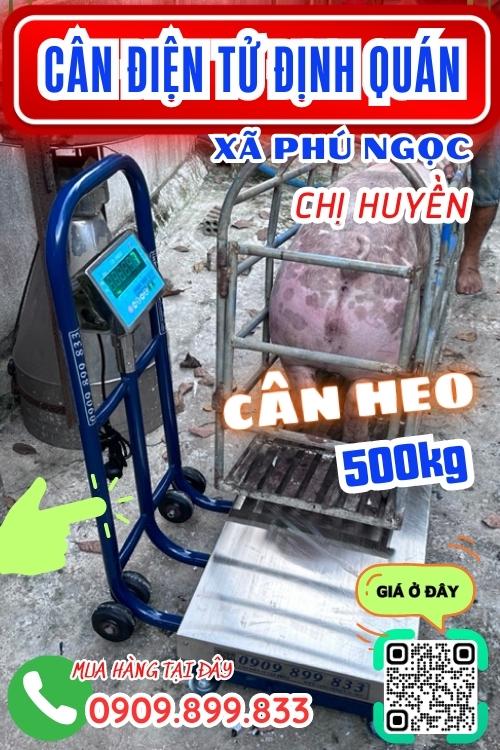 Cân điện tử Phú Ngọc Định Quán Đồng Nai - cân heo 500kg
