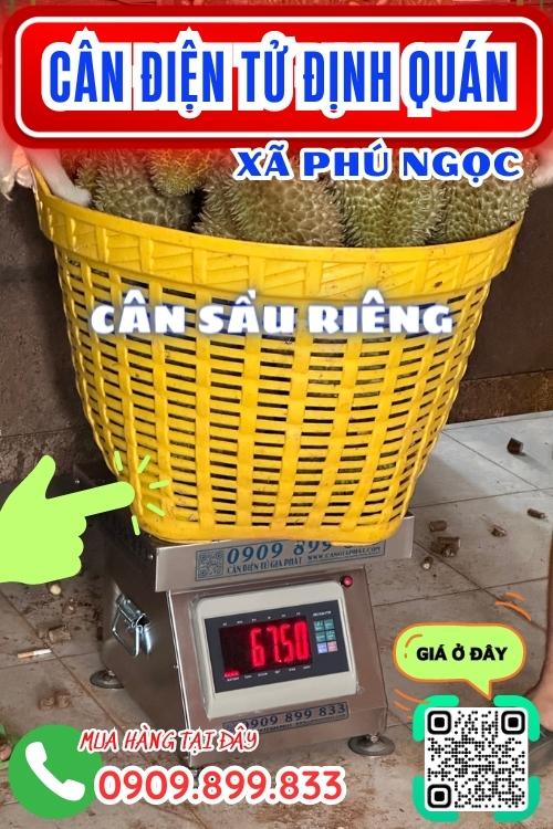 Cân điện tử ở Phú Ngọc Định Quán Đồng Nai