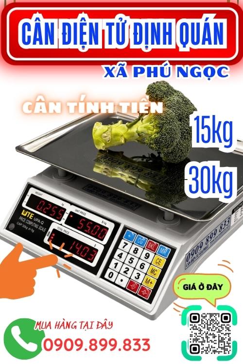 Cân điện tử Phú Ngọc Định Quán Đồng Nai - cân tính tiền 15kg 30kg
