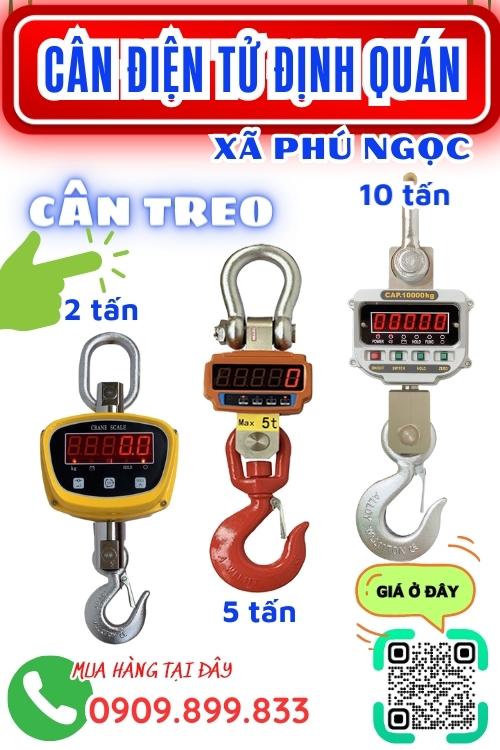 Cân điện tử Phú Ngọc Định Quán Đồng Nai - cân treo 1 2 3 5 10 tấn
