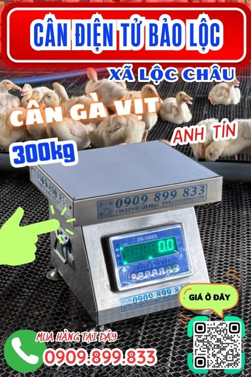 Cân điện tử ở Lộc Châu Bảo Lộc Lâm Đồng - cân gà vịt 100kg 200kg 300kg 
