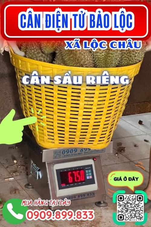 Cân điện tử ở Lộc Châu Bảo Lộc Lâm Đồng - cân sầu riêng 100kg 200kg 300kg