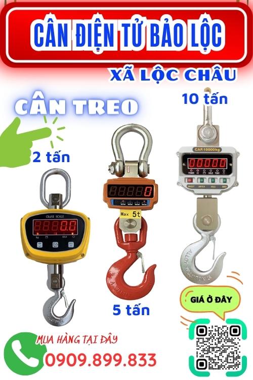 Cân điện tử ở Lộc Châu Bảo Lộc Lâm Đồng - cân treo 1 tấn 2 tấn 3 tấn 5 tấn 10 tấn