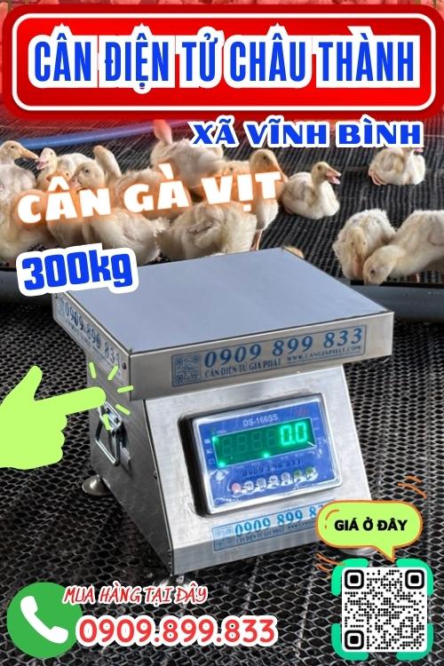 Cân điện tử ở Vĩnh Bình Châu Thành An Giang - cân gà vịt chốt số 100kg 200kg 300kg