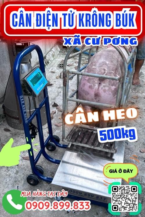 Cân điện tử ở Cư Pơng Krông Búk Đắk Lắk - cân heo 200kg 300kg 500kg