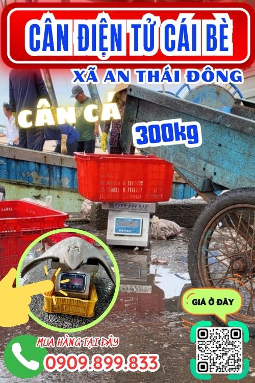 Cân điện tử ở An Thái Đông Cái Bè Tiền Giang - cân cá 100kg 200kg 300kg 500kg