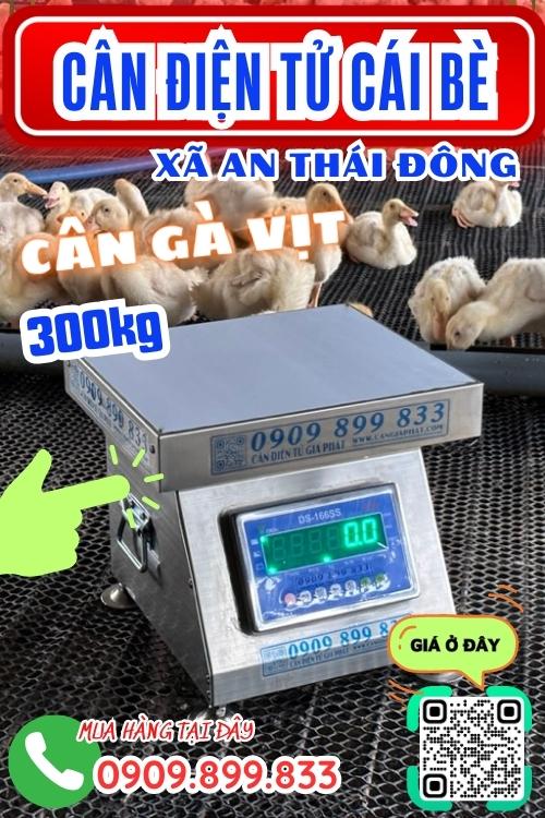 Cân điện tử ở An Thái Đông Cái Bè Tiền Giang - cân gà vịt 100kg 200kg 300kg