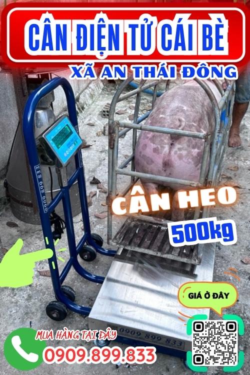 Cân điện tử ở An Thái Đông Cái Bè Tiền Giang - cân heo 200kg 300kg 500kg