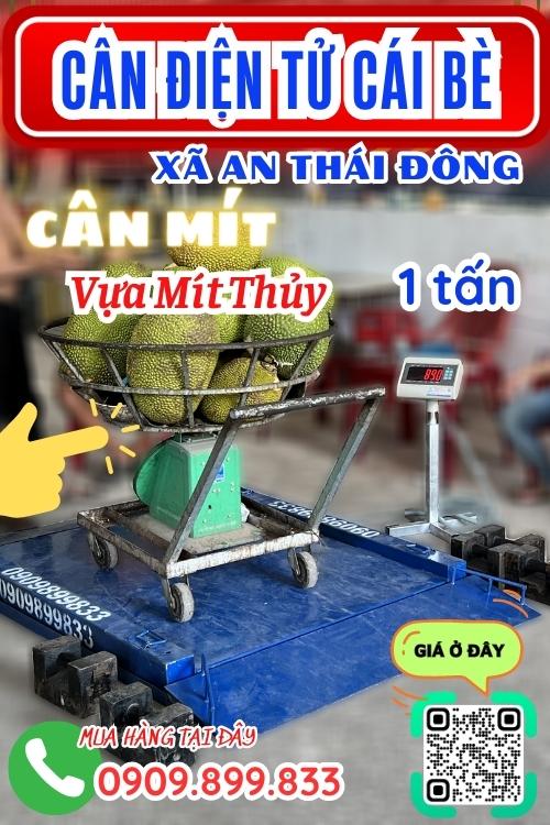 Cân điện tử ở An Thái Đông Cái Bè Tiền Giang - cân mít 500kg 1 tấn 2 tấn 