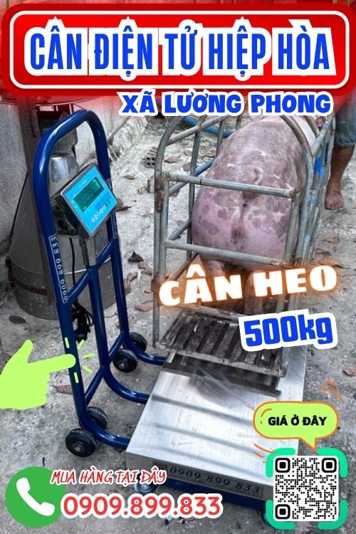 Cân điện tử ở Lương Phong Hiệp Hòa Bắc Giang - cân heo