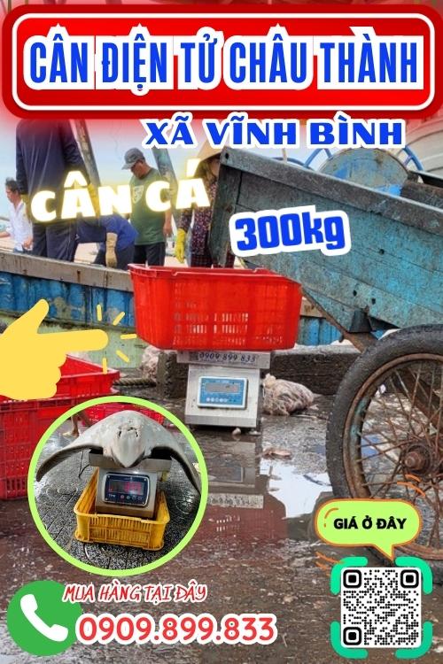 Cân điện tử ở Vĩnh Bình Châu Thành An Giang - cân cá