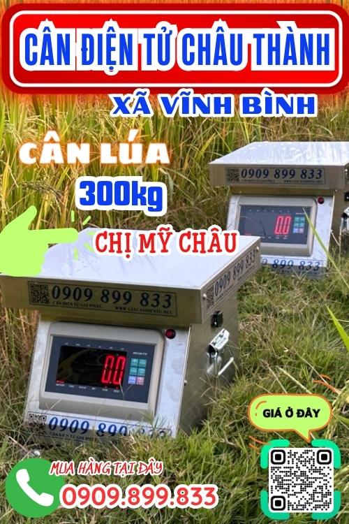 Cân điện tử ở Vĩnh Bình Châu Thành An Giang - cân lúa 100kg 200kg 300kg