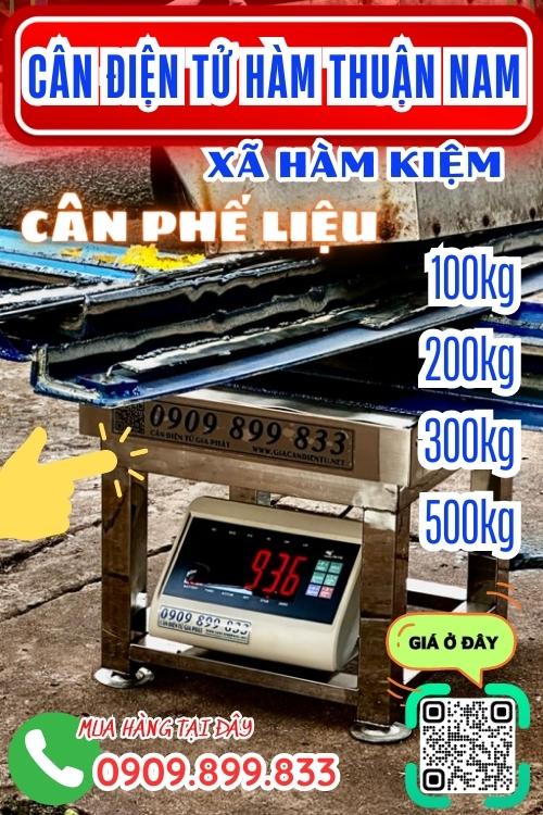 Cân điện tử ở Hàm Thuận Hàm Thuận Nam Bình Thuận - cân phế liệu
