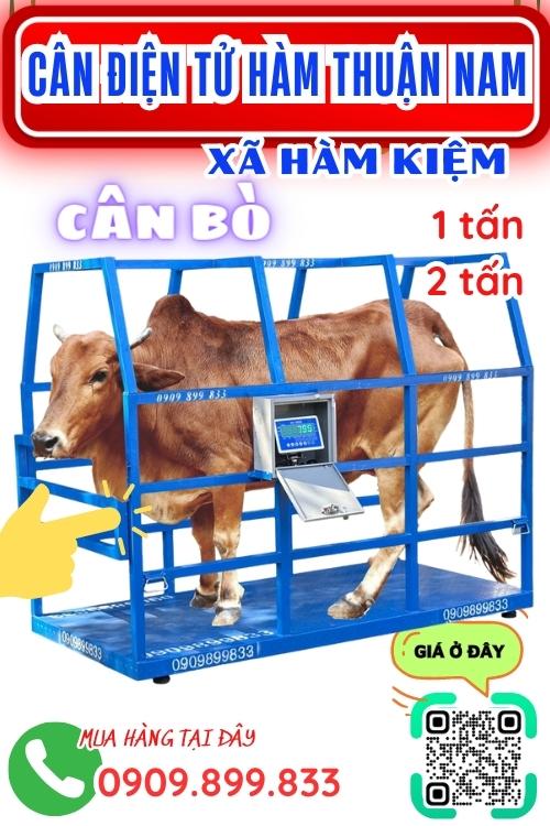 Cân điện tử ở Hàm Kiệm Hàm Thuận Nam Bình Thuận - cân bò 