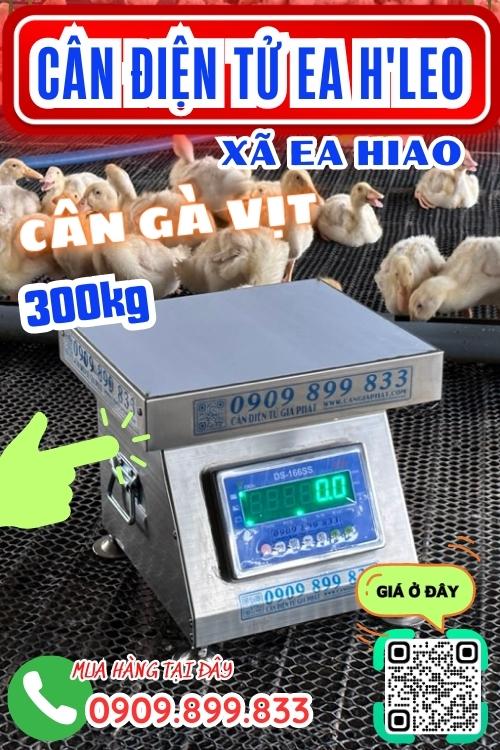 Cân điện tử ở EaHiao EaHLeo Đắk Lắk - cân gà vịt