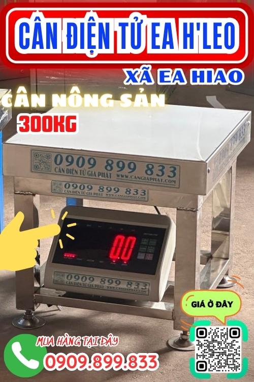 Cân điện tử ở EaHiao EaHLeo Đắk Lắk - cân nông sản