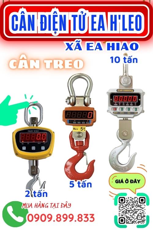 Cân điện tử ở EaHiao EaHLeo Đắk Lắk - cân treo