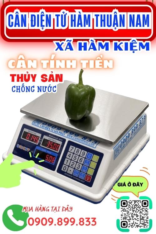 Cân điện tử ở Hàm Kiệm Hàm Thuận Nam Bình Thuận - cân tính tiền chống nước