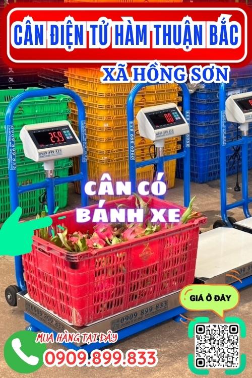 Cân điện tử ở Hồng Sơn Hàm Thuận Bắc Bình Thuận - cân có bánh xe