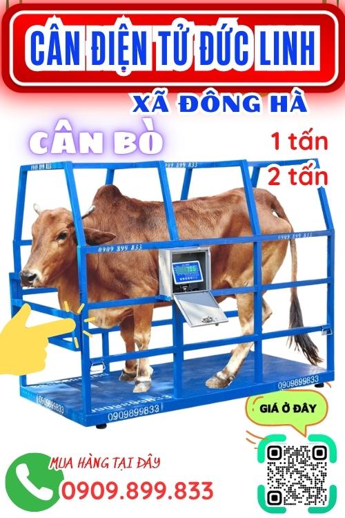 Cân điện tử ở Đông Hà Đức Linh Bình Thuận - cân bò