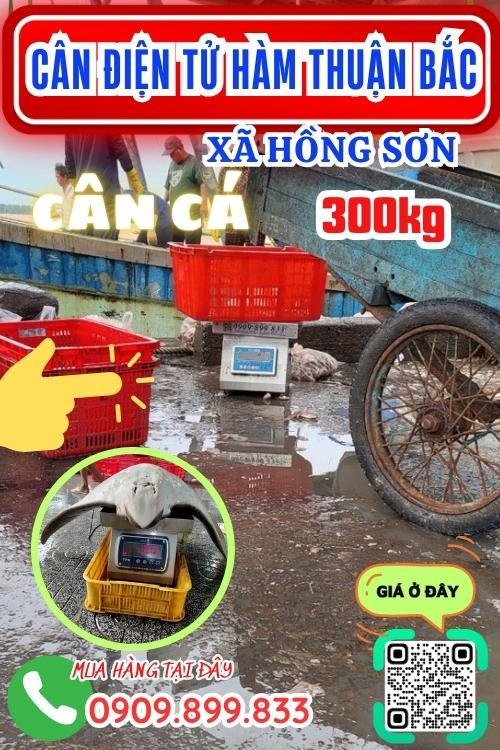 Cân điện tử ở Hồng Sơn Hàm Thuận Bắc Bình Thuận - cân cá