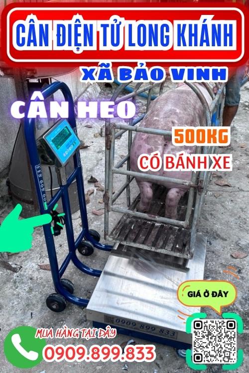Cân điện tử ở Long Khánh Đồng Nai - cân heo có bánh xe 