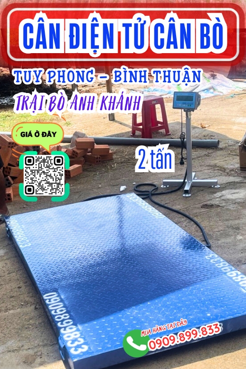 Cân điện tử cân bò 1 tấn 2 tấn DS-166SS ở Tuy Phong Bình Thuận