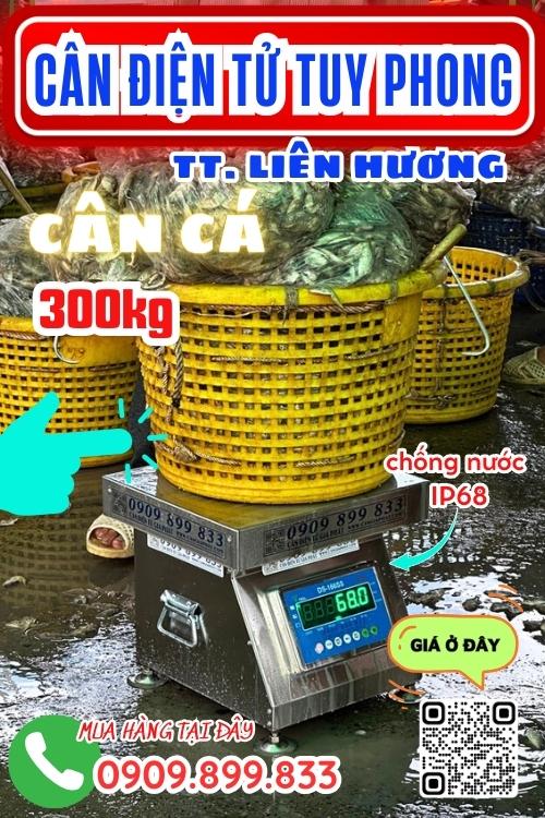 Cân điện tử ở Liên Hương Tuy Phong Bình Thuận - cân cá biển