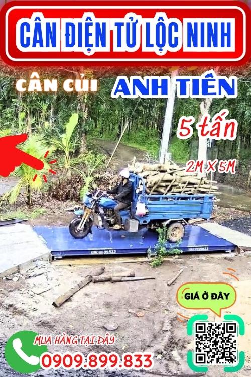 Cân điện tử cân xe 3 gác 3 tấn 5 tấn cân củi ở Lộc Ninh Bình Phước