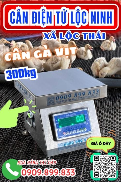 Cân điện tử ở Lộc Thái Lộc Ninh Bình Thuận - cân gà vịt