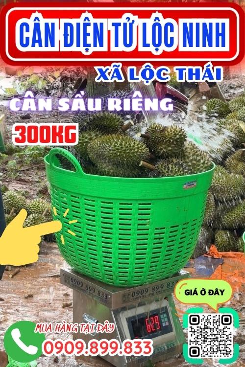 Cân điện tử ở Lộc Thái Lộc Ninh Bình Phước - cân sầu riêng vườn