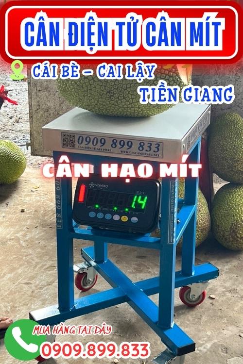 Cân điện tử ở Cái Bè Cai Lậy Tiền Giang - cân điện tử cân mít