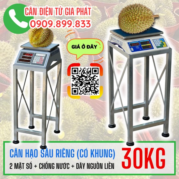 CÂN HẠO SẦU RIÊNG 30KG (BỘ CÂN BẮT TRÁI SẦU RIÊNG)