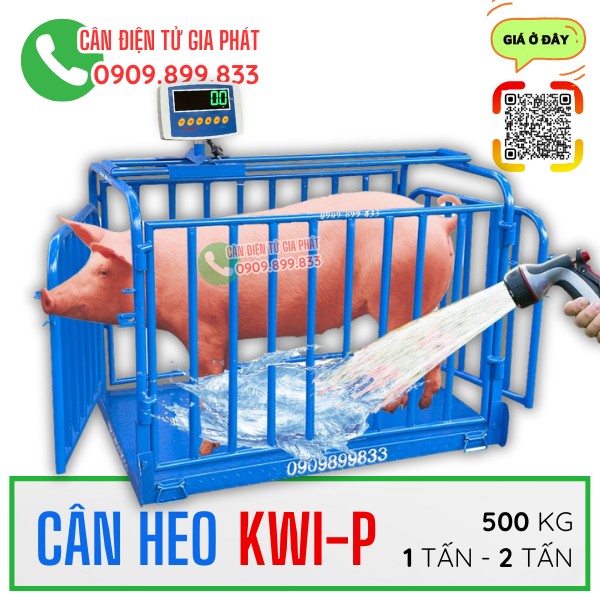 Cân điện tử cân heo cân lợn Kanext KWI-P 300kg 500kg 1 tấn 2 tấn