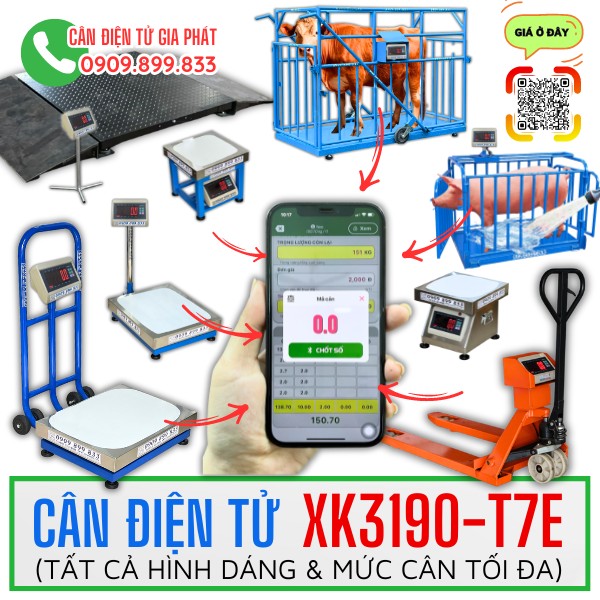 Cân điện tử XK3190-T7E-01