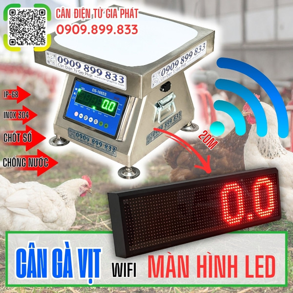 Cân điện tử cân gà vịt DS-166SS 200kg 300kg kết nối màn hình LED lớn