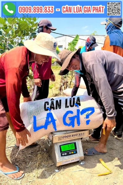 Cân điện tử cân lúa là gì?