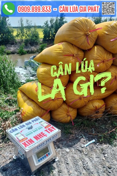 Cân điện tử cân lúa Gia Phát 100kg 200kg 300kg là gì?