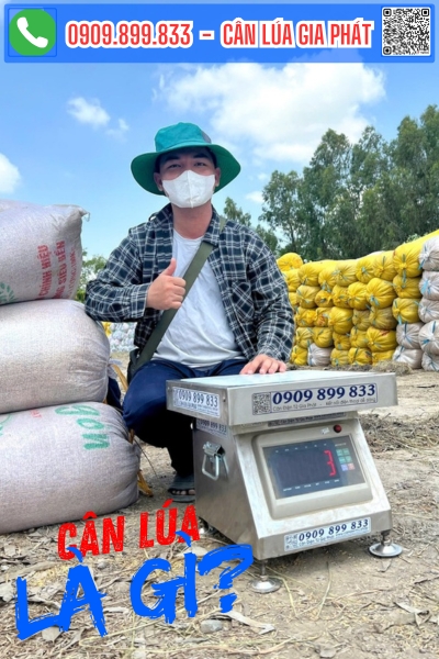 Cân điện tử cân lúa là gì?