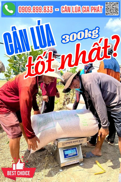 Cân lúa điện tử 200kg 300kg tốt nhất - cân lúa DS-166SS inox 304 tốt nhất
