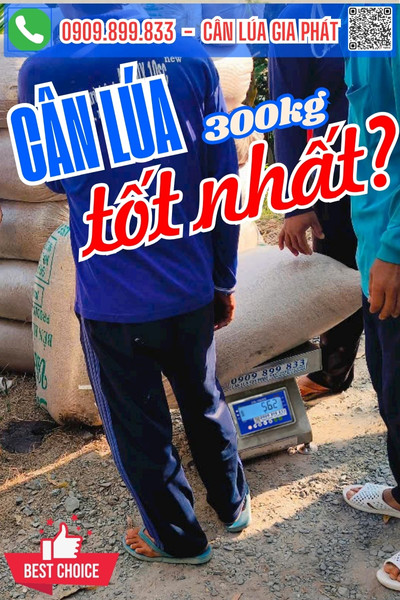 Cân điện tử cân lúa tốt nhất DS-166SS cân lúa nhiều nhất