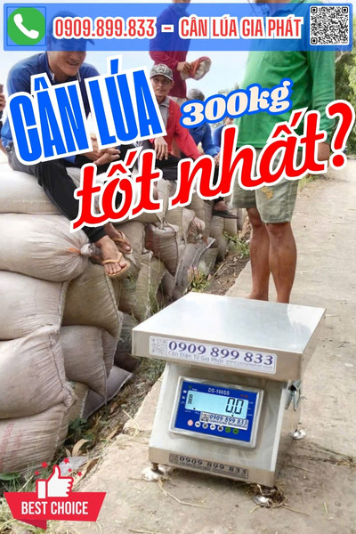 Cân điện tử cân lúa tốt nhất DS-166SS số đen nền trắng dễ thấy nhất