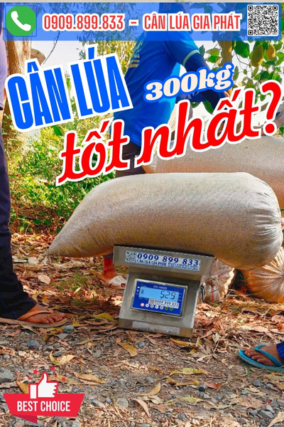 Cân điện tử cân lúa 200kg 300kg tốt nhất - cân lúa DS-166SS chống nước tốt nhất