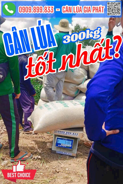 Cân điện tử cân lúa 300kg tốt nhất - DS-166SS 300kg dễ sử dụng