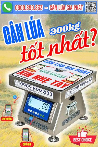 Cân điện tử cân lúa DS-166SS 200kg 300kg tốt nhất