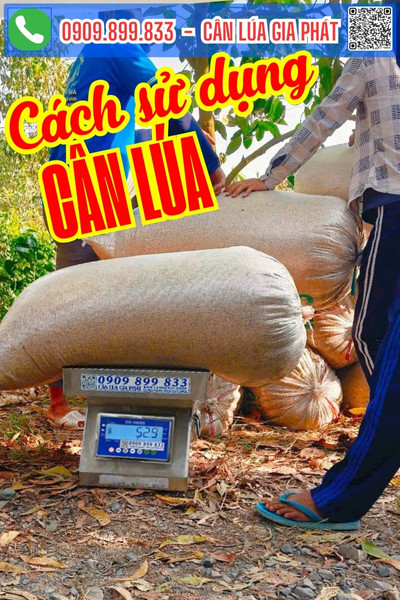 Cách sử dụng cân điện tử cân lúa 200kg 300kg Cân Lúa Gia Phát