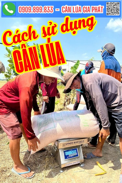 Hướng dẫn sử dụng cân điện tử cân lúa 200kg 300kg