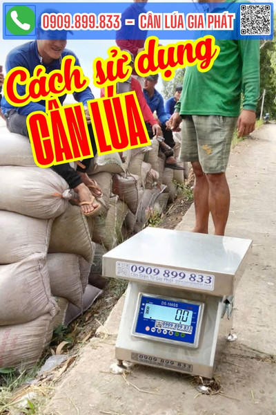Cách sử dụng cân điện tử cân lúa 200kg 300kg