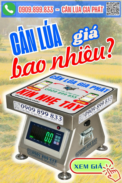 Giá cân điện tử cân lúa 100kg 200kg 300kg số xanh XK3190-T7E