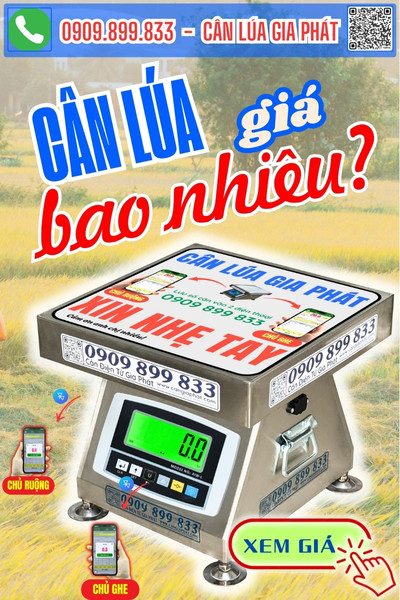 Giá cân điện tử cân lúa 100kg 200kg 300kg AIW-L số đen bluetooth